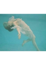 人非草木(np)