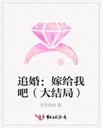追婚:嫁给我吧
