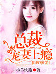 闪婚蜜爱:总裁宠妻上瘾