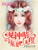 一见钟晴:陆少,宠妻无度