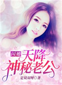 闪婚,天降神秘老公!
