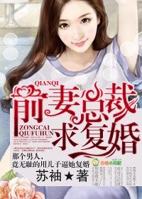 前妻,总裁求复婚!