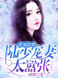 甜蜜隐婚:陆少宠妻太嚣张