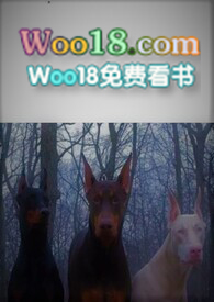 你要不要当我的狗(np)