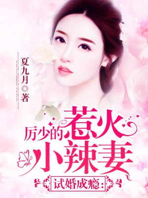 试婚成瘾:厉少的惹火小辣妻