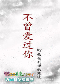 不曾爱过你(H)