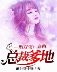 一胎双宝:套路总裁爹地