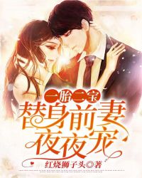 一胎二宝:替身前妻夜夜宠