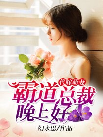 代嫁萌妻:霸道总裁晚上好