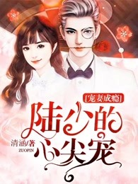 宠妻成瘾:陆少的心尖宠