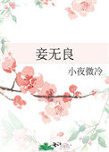 妾无良(作者:小夜微冷)