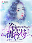 隐婚99天:首席,请矜持