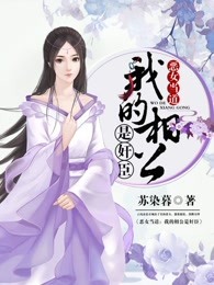 恶女当道:我的相公是奸臣