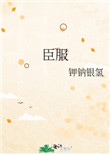 臣服(作者:钾钠银氢)