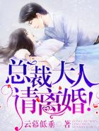 总裁大人,请离婚!