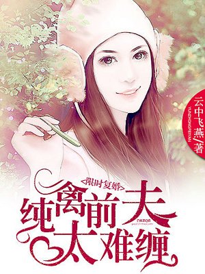 限时复婚:纯禽前夫太难缠