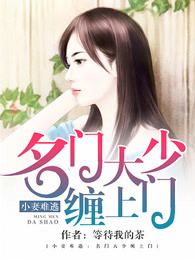小妻难逃:名门大少缠上门