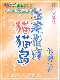 猫猫岛基建指南(穿越)