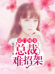豪门辣妻:总裁难招架