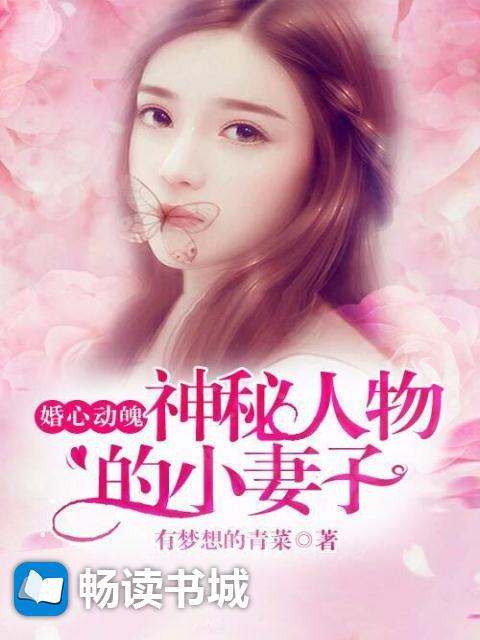 婚心动魄:神秘人物的小妻子