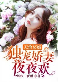 天价冥婚:独宠娇妻夜夜欢