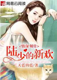 情深刻骨:陆少的新欢