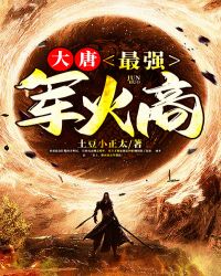 大唐:最强军火商