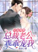 错嫁缠婚:总裁老公乖乖宠我
