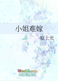 小姐难嫁(GL)