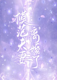 模范夫妻离婚了(高干,H)