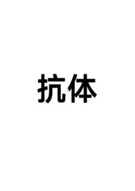 抗体(np)