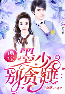 1胎2宝:墨少,别贪睡