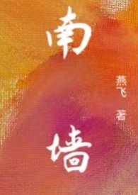 南墙(np)